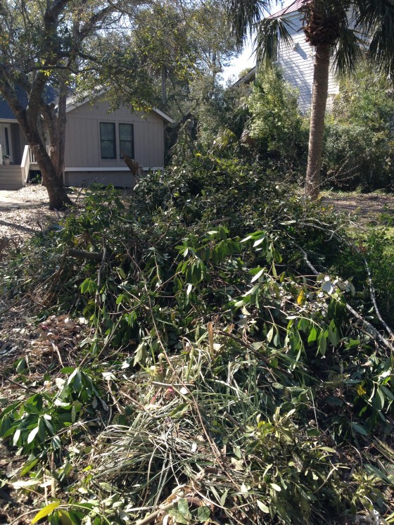 Front Yard Debris